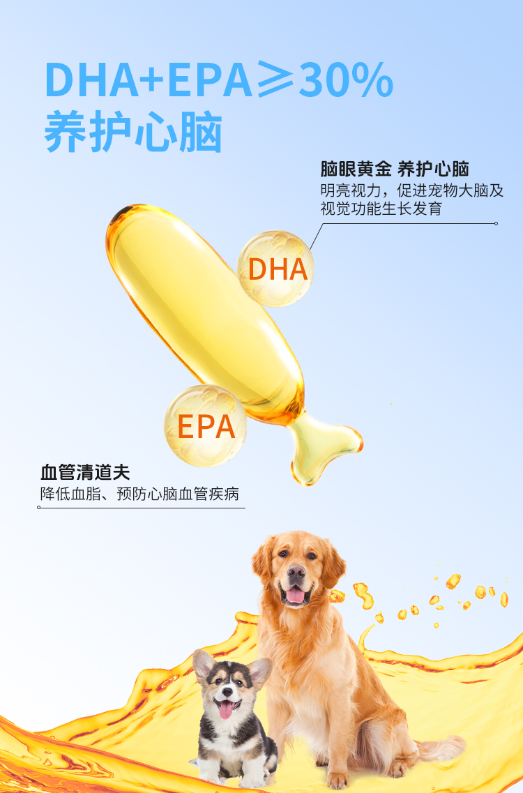 DHA深海精纯鱼油 (3).jpg