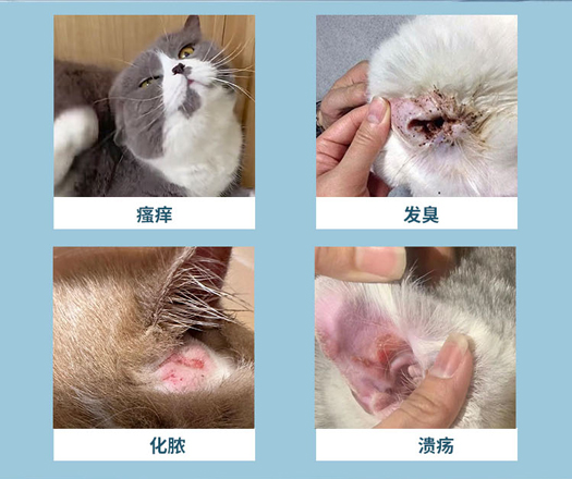 耳部清洁液_02.jpg