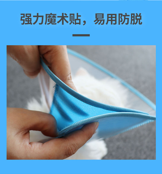 新款伊丽莎白圈详情页_06.jpg