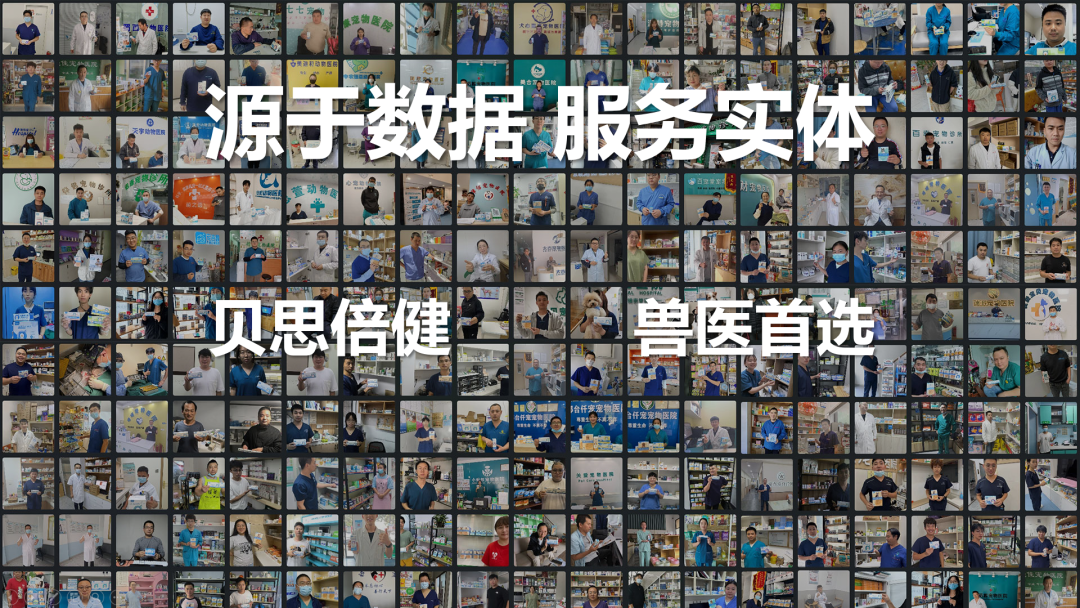 兽医首选获RedDog红狗处方罐全国代理权 - 南京瀚星信息科技有限公司 - 贝思倍健